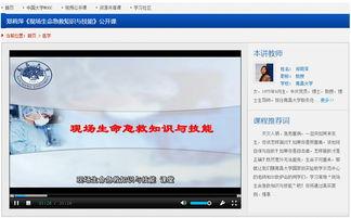 精品视频公开课,知识盛宴与智慧启迪之旅