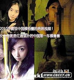 兽兽不雅视频 下载,揭秘网络暴力的阴影面