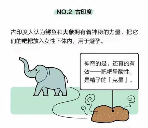 如何避孕视频,掌握科学避孕方法,守护健康生活