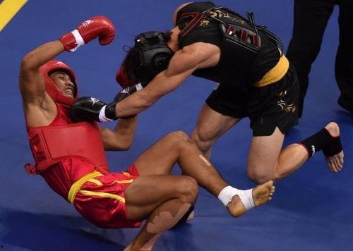 散打步伐训练视频,掌握实战步伐技巧全解析