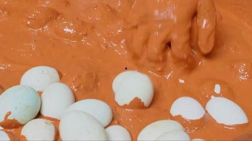 鸭蛋视频,揭秘日常生活小妙招，轻松提升生活品质